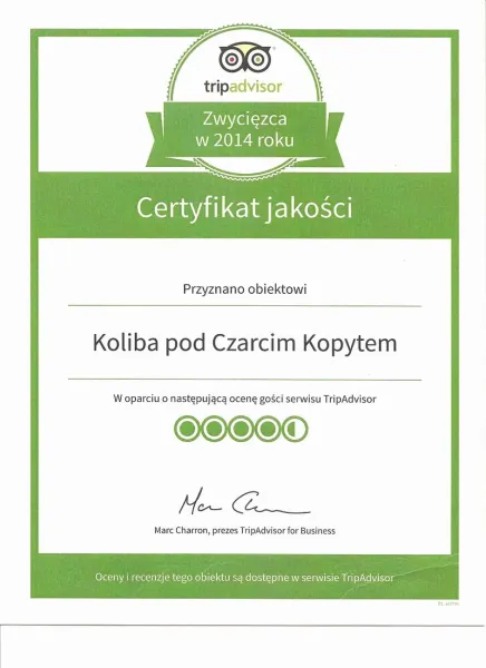 tripadvisor